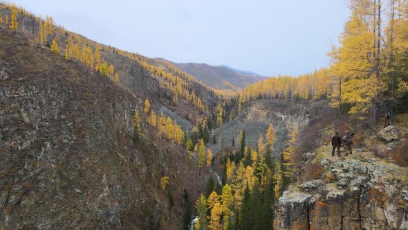 Tourists Hunters Stand at the Edge of a Huge Cliff Around an Autumn Coniferous Forest