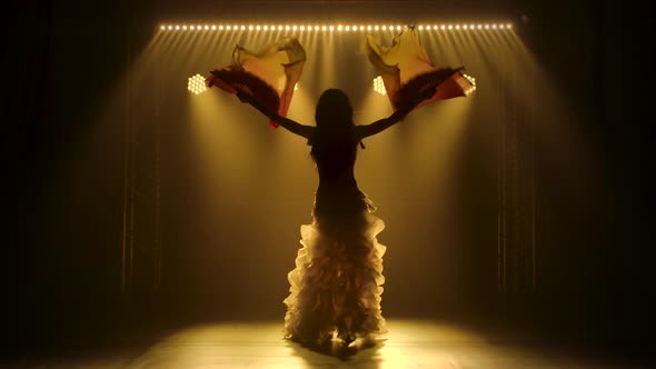 Belly Dancer Dancing with Silk Fan Tissues. Shot in a Dark Studio with Smoke and Neon Lighting