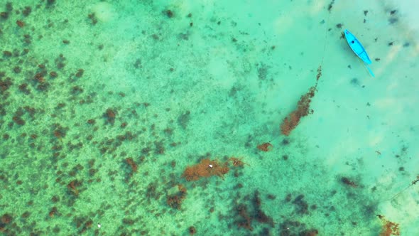 Aerial drone travel of marine coast beach journey by shallow lagoon and white sandy background of a 