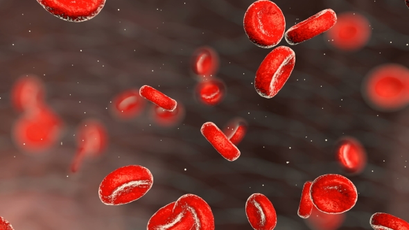 Realistic Blood Cells in an Artery