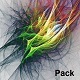 Psychedelic Pack