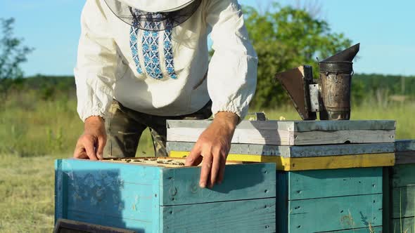 Man beekeeper puts one new frame into the hive full of bees and closes with hood