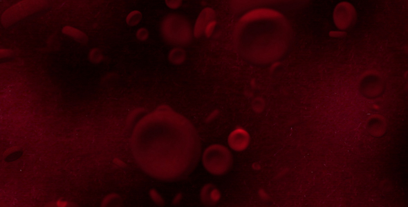 Blood Cells