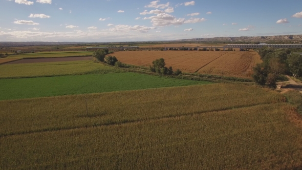 Fast Train Near Cultivated Corn Field