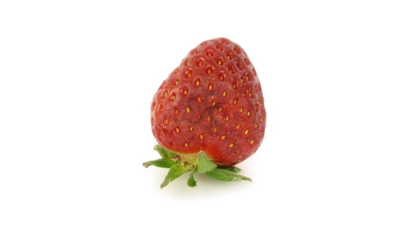 Strawberry Rotting