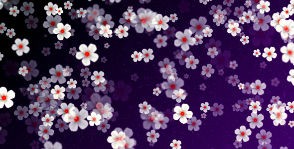 Particular Background 221 alt