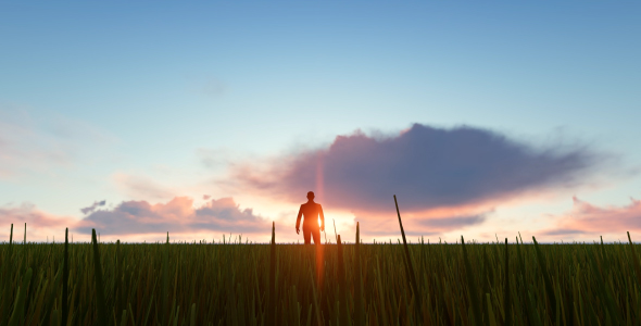 Silhouette Man Walking On The Field alt