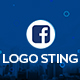 Logo Sting - VideoHive Item for Sale