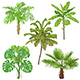 Tropical Plants Isolated - GraphicRiver Item for Sale