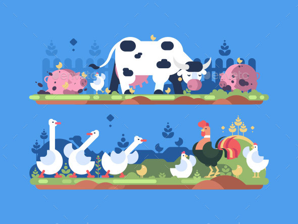 Animals on Farm