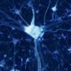 Neuron Network  - VideoHive Item for Sale