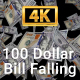 100 Dollar Bill Falling Slowly - VideoHive Item for Sale