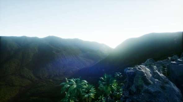 Sunset Beams Through Palm Trees alt