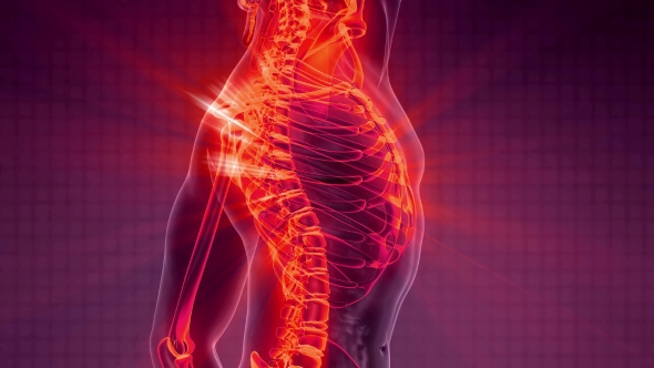 Human Body with Visible Skeletal Bones alt