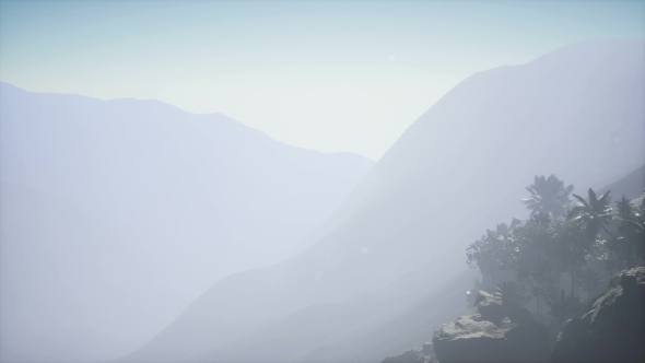 Mountain and Field Landscape with Palms alt