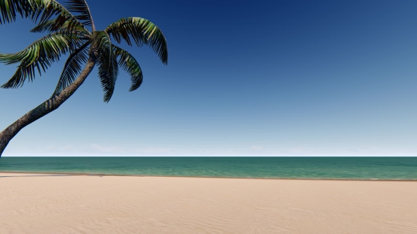 Sandy Beach with Palm Tree and Blue Sky alt