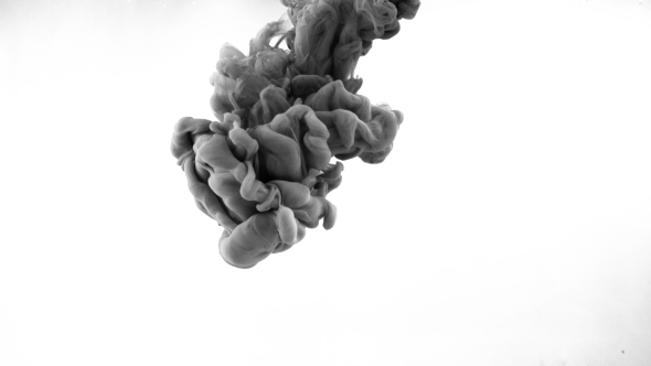 Black Ink Drops in Water