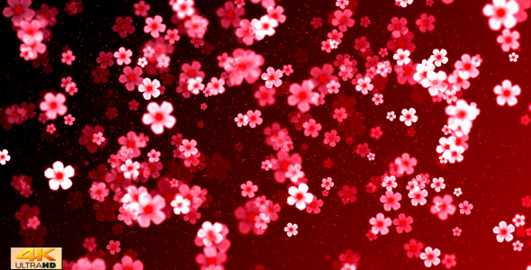 Chinese New Year 4K alt