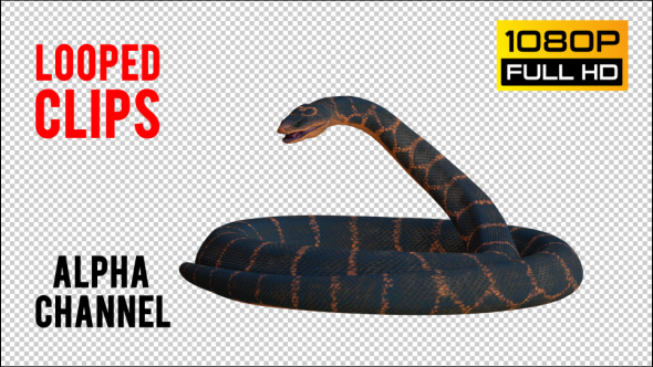 Snake 1 Realistic Pack 2