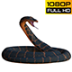 Snake 2 Realistic - VideoHive Item for Sale