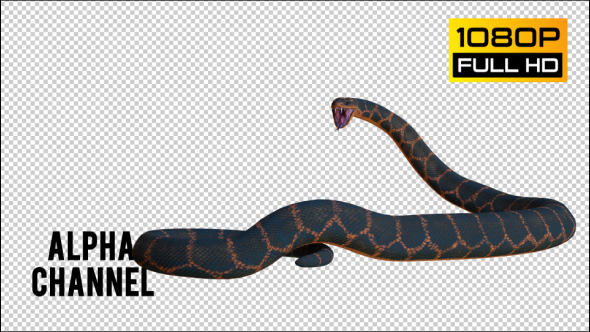 Snake 2 Realistic
