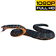 Snake 3 Realistic - VideoHive Item for Sale