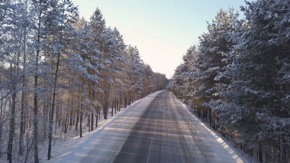 Empty Road in the Winter Forest