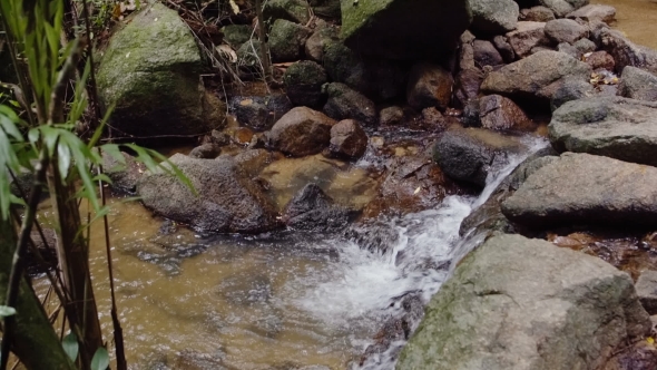 Mountain Stream with Clean Water