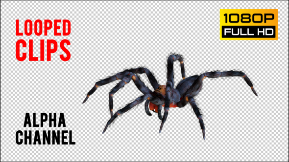 Spider 2 Realistic Pack 3