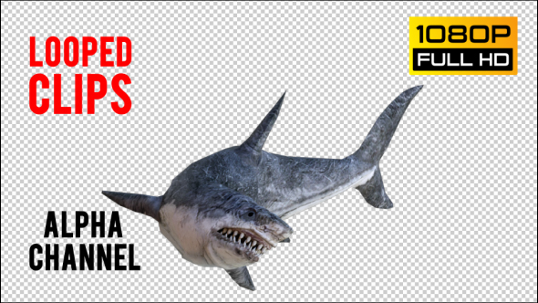 Shark 3 Realistic Pack 3