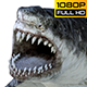 Shark 5 Realistic Pack 2 - VideoHive Item for Sale