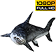 Shark 6 Realistic Pack 3 - VideoHive Item for Sale