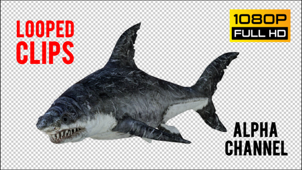 Shark 6 Realistic Pack 3