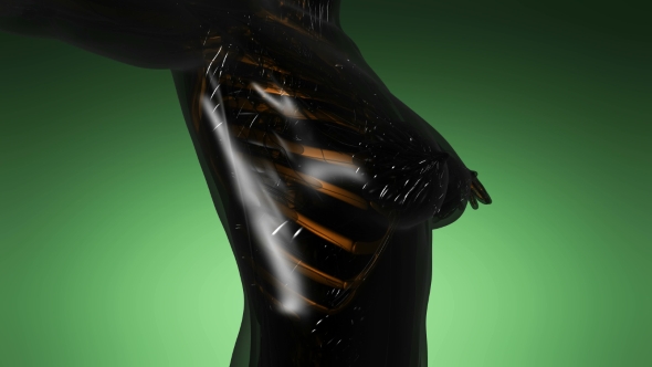 Human Body with Visible Skeletal Bones alt