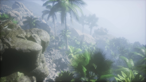 Sunset Beams Through Palm Trees alt