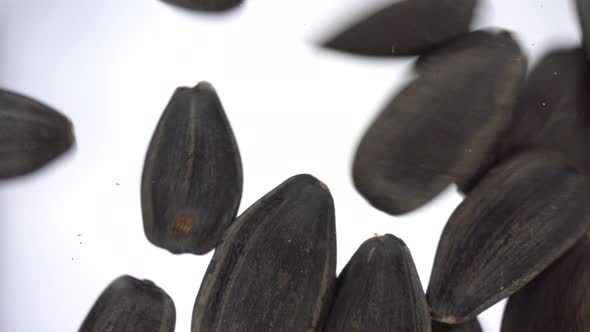 Sunflower Seeds Fall on Glass Against a Bright White Background