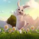 Happy Rabbit