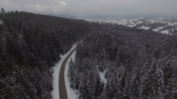 Beautiful Aerial View Above the Winter Forest