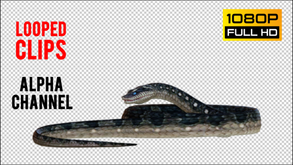 Snake 4 Realistic