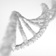 DNA Full 360 Spin - VideoHive Item for Sale