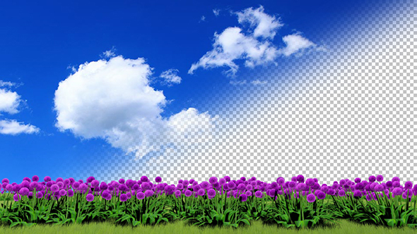 Flowers and Grass Ver.4 alt