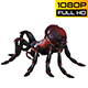 Spider 4 Realistic Pack 5 - VideoHive Item for Sale
