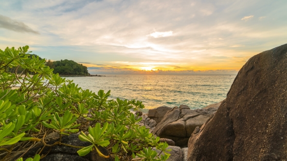 Rocks with Tropical Plants on the Beach at Sunset  in Phuket, Thailand