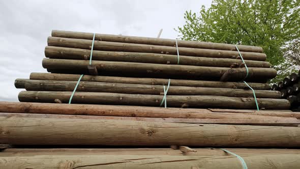 Timber Industry