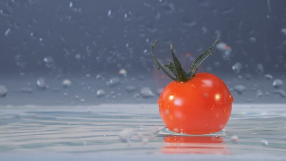 One Tasty Fresh Tomato Falls into Water