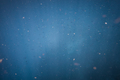 Cloud of Fish in the Deep Blue Ocean - PhotoDune Item for Sale