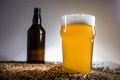 Homebrew Blonde Pint and empty bottle of Beer on Pislner Malt Gr - PhotoDune Item for Sale