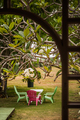 Beautiful Garden and Table in the Caribbean - PhotoDune Item for Sale