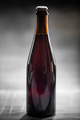 Homebrew Fruit Beer over Bright Background - PhotoDune Item for Sale
