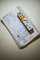 Yum dice game result with Crazy high score. - PhotoDune Item for Sale